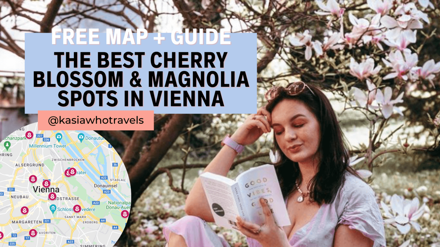 The best Cherry Blossom & Magnolia spots in Vienna [Free Map]